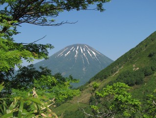 ArĂI